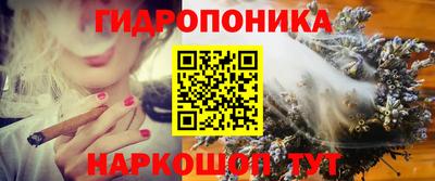 мдпв Жуковский