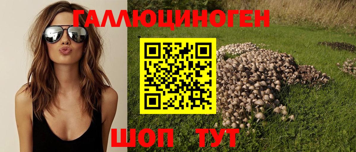 Галлюциногенные грибы ЛСД  купить закладку  Вход с VPN  Таганрог  Галлюциногенные грибы Magic Shrooms 